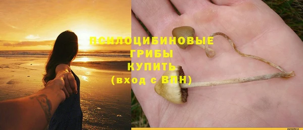 спиды Бородино